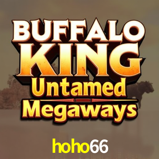 Casino Ao Vivo hoho66